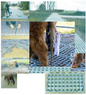 farmfloor xx
